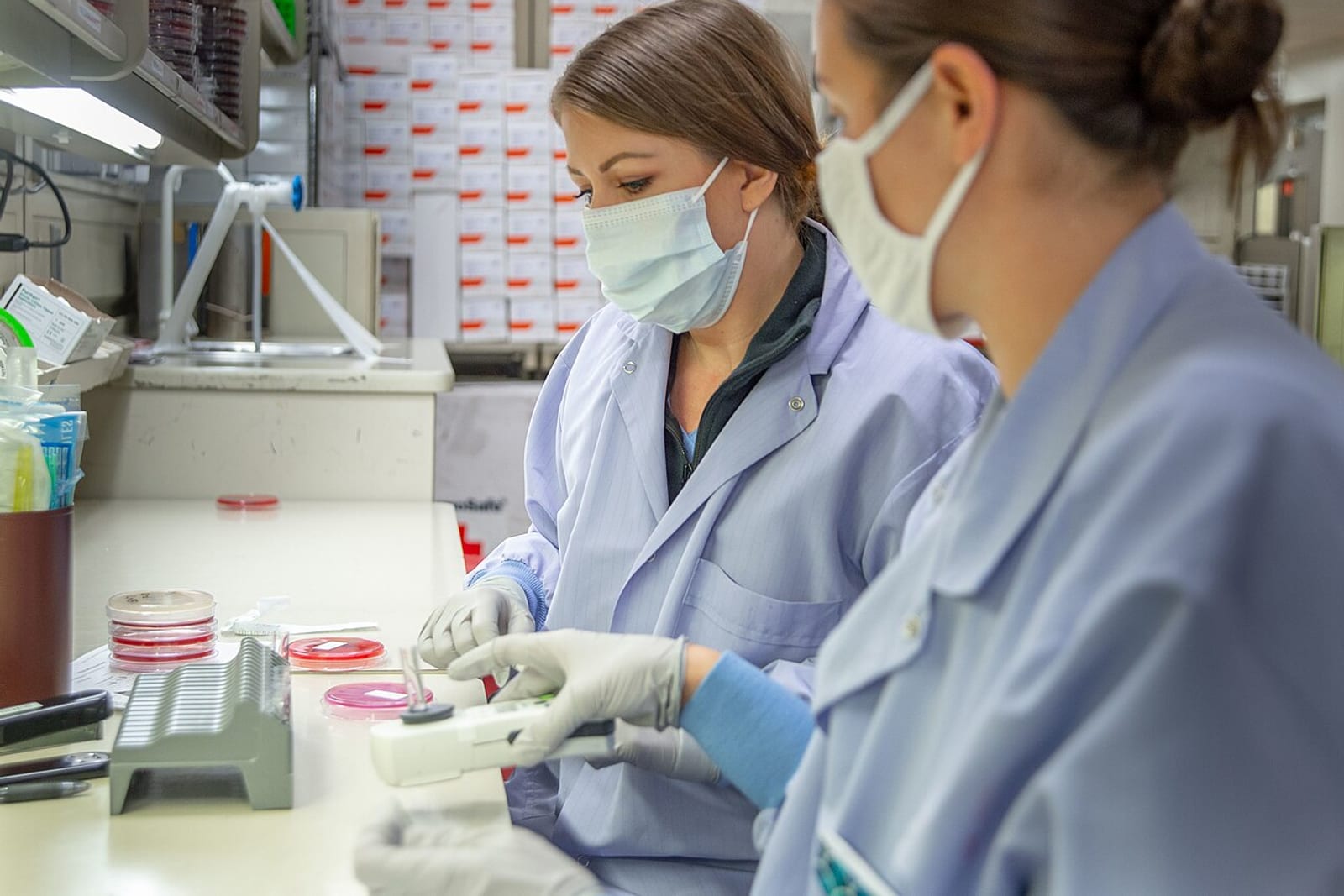 Laboratory staff in masks handling samples