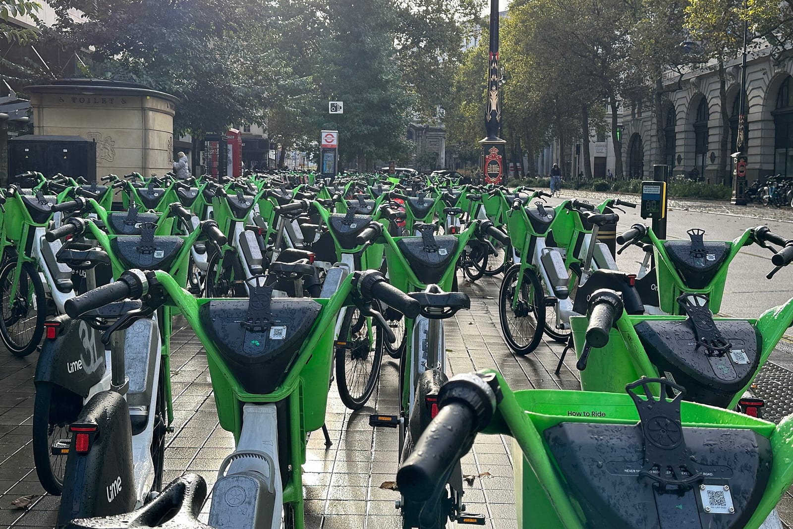 Rows of shared Lime e-bikes in London